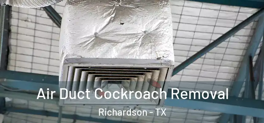 Air Duct Cockroach Removal Richardson - TX