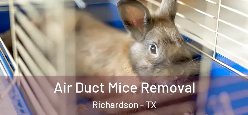 Air Duct Mice Removal Richardson - TX
