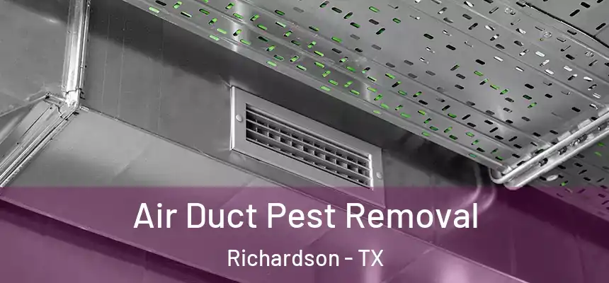 Air Duct Pest Removal Richardson - TX