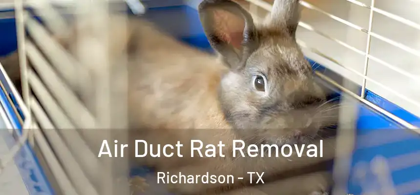 Air Duct Rat Removal Richardson - TX