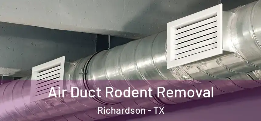 Air Duct Rodent Removal Richardson - TX