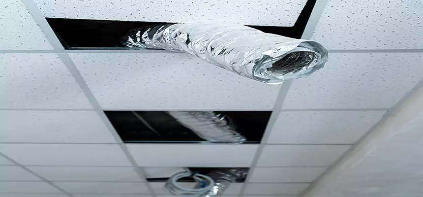 Our Air Duct Pet Hair Removal Services in Richardson, TX