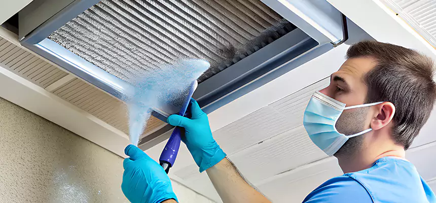 Proactive Dryer Vent & Auxiliary Duct Pollen Cleanup in Richardson, TX