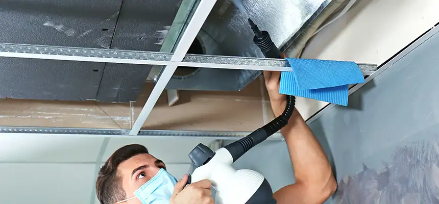 Our Air Duct Rodent Removal Services in Richardson, TX