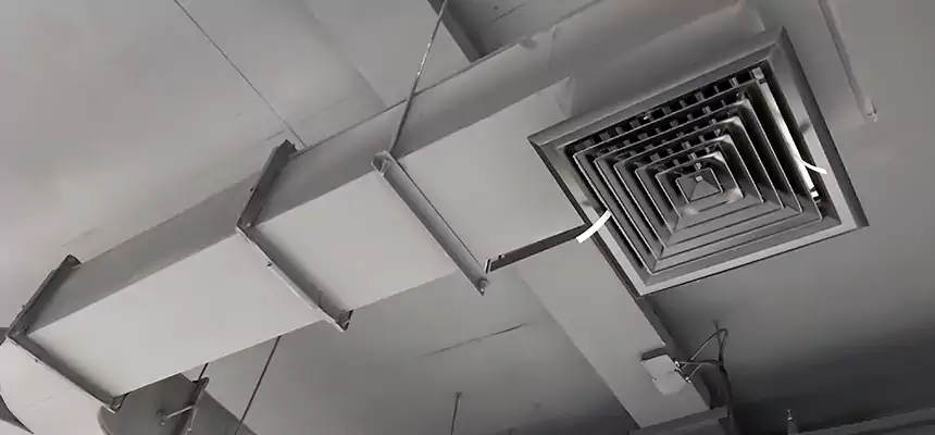 Restorative Allergy Relief Vent Cleaning – Coil, Blower & Housing Detail in Richardson