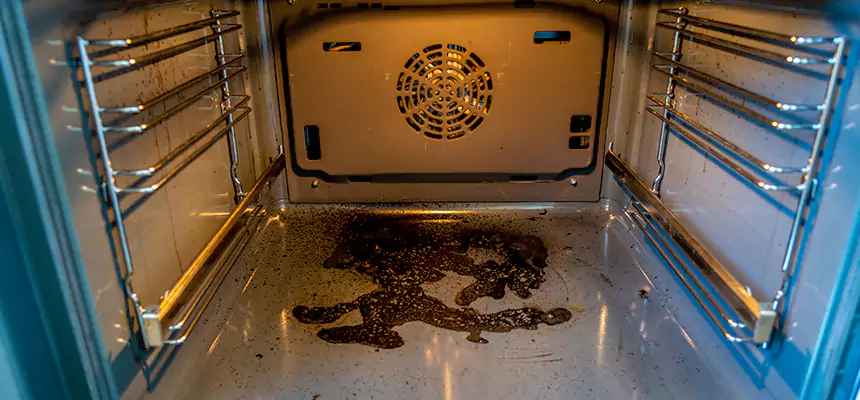 Our Dryer Vent Mold Cleaning Services in Richardson, TX