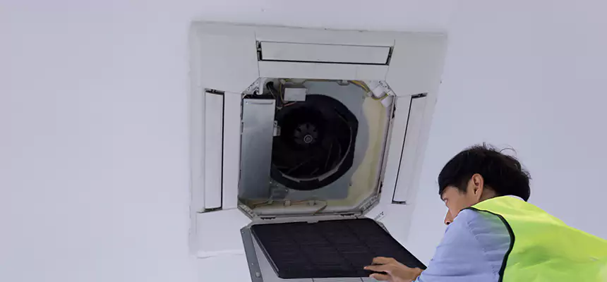 Our Dryer Vent Sanitization Service Services in Richardson, TX