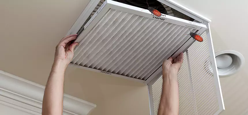 Our Insect Removal from Air Ducts Services in Richardson, TX