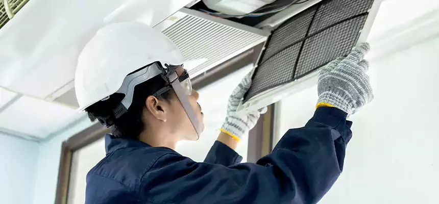 Our Mold & Mildew Removal from Air Ducts Services in Richardson, TX