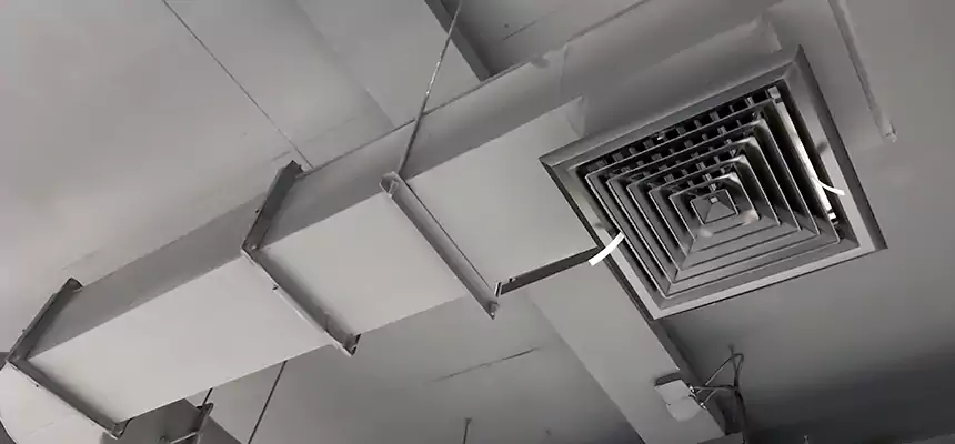 Our Pest Removal From Ducts Services in Richardson, TX