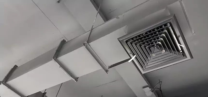 Our Rodent Droppings In Vents Services in Richardson, TX