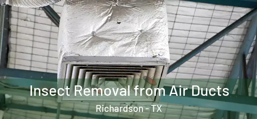 Insect Removal from Air Ducts Richardson - TX