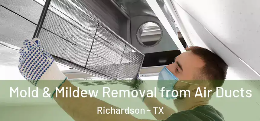 Mold & Mildew Removal from Air Ducts Richardson - TX