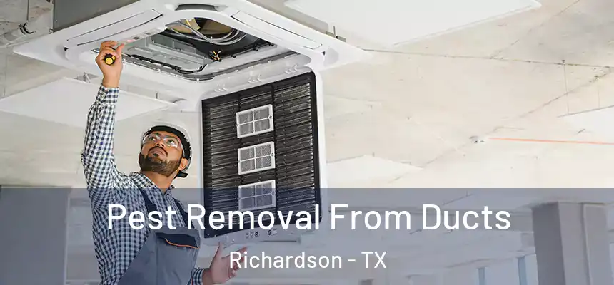 Pest Removal From Ducts Richardson - TX