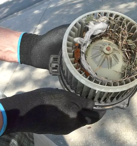 About Air Duct Rat Removal in Richardson, TX