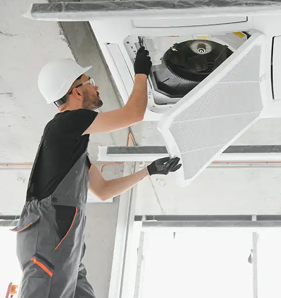 About Air Duct Rodent Removal in Richardson, TX