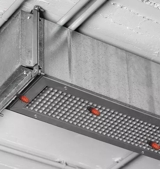 Affordable Insect Removal from Air Ducts in Richardson, TX