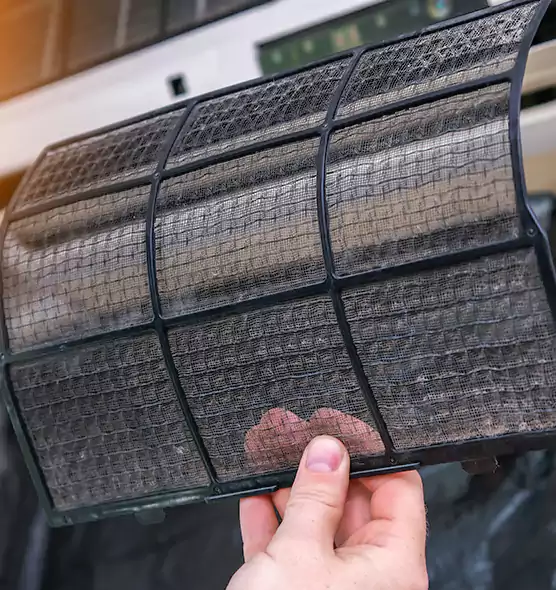 About Pet Dander Duct Cleaning in Richardson, TX